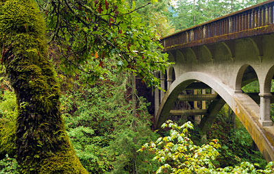 Shepperd's Dell Bridge