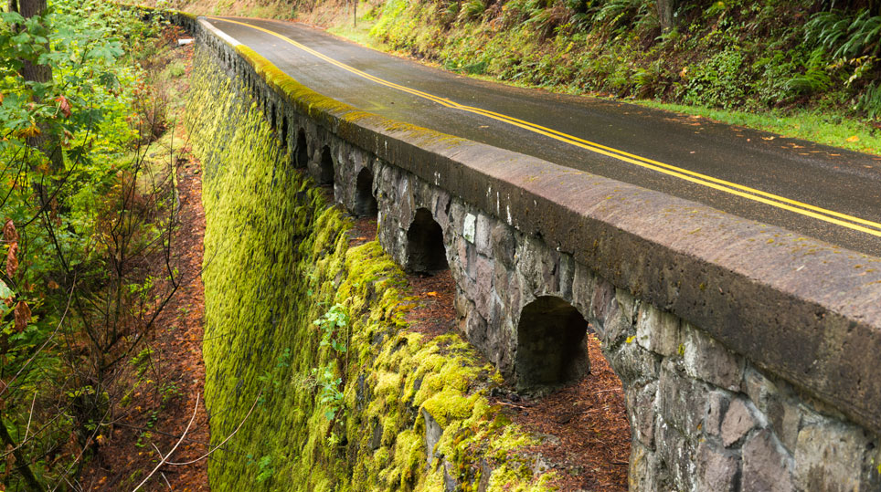 Moss-covered masonry wall