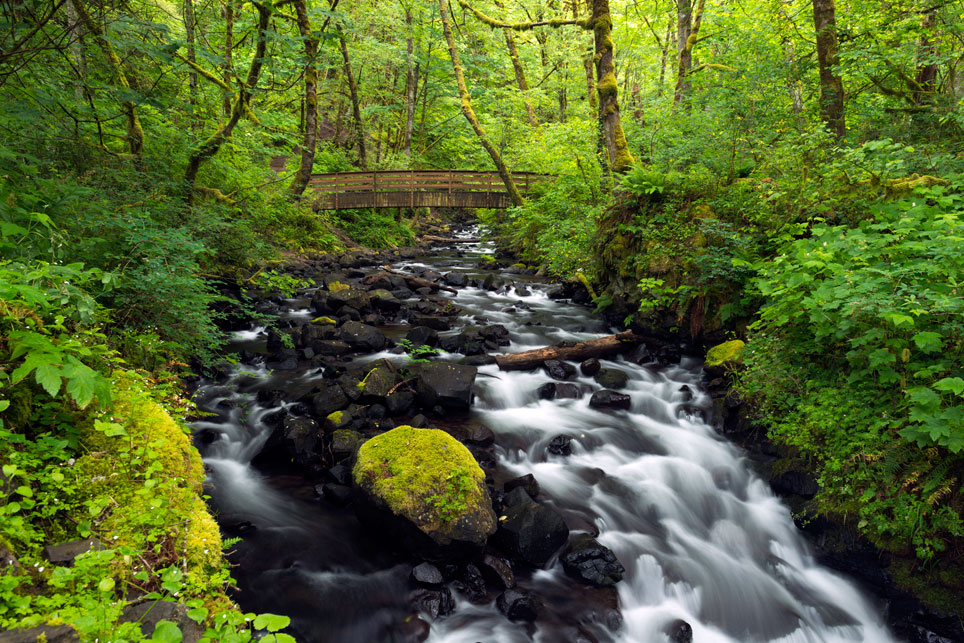 Bridal Veil Creek