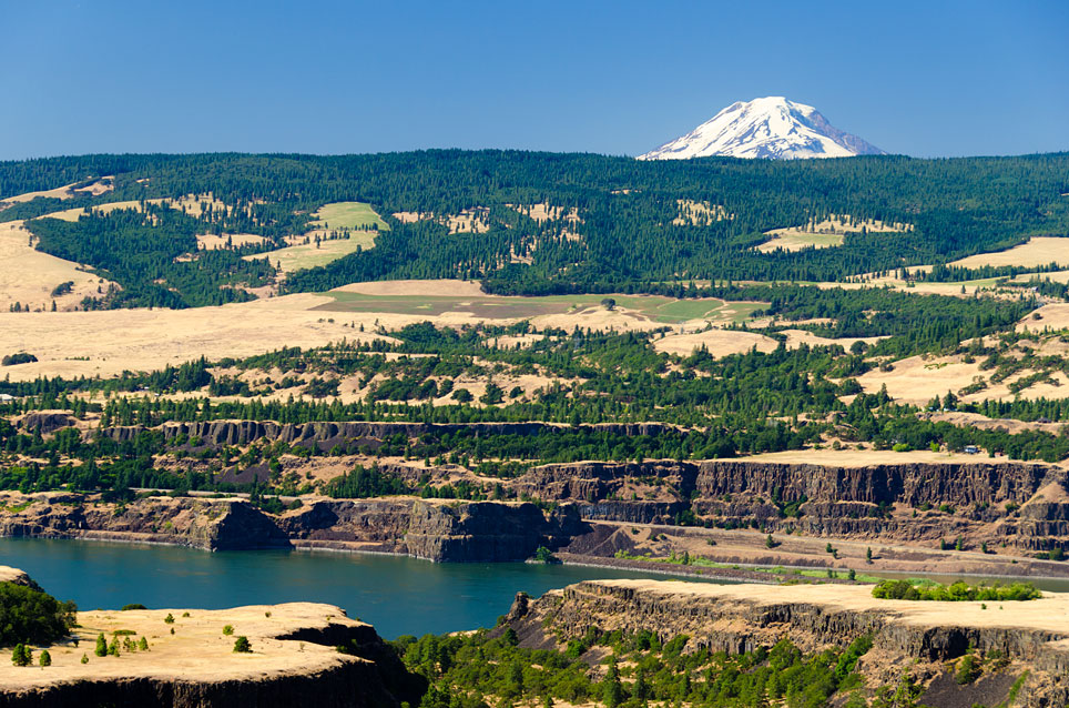 The view from Tom McCall Point