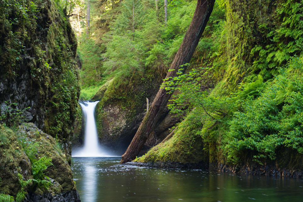 Punch Bowl Falls