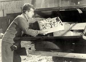 Man unloading produce off the back of a truck.