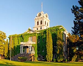 3 story brick building with tower on top covered with ivy growing up the sides.