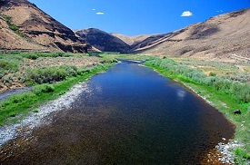 Mouth of a calm river with short greenery on banks