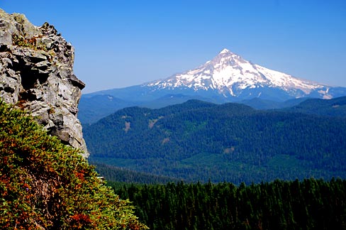 Snow covered Mt. hood seen in the distance on a perfectly clear day with blue sky and green trees.