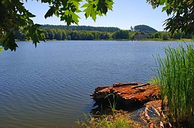 Calm lake with tall grass on near shore and deciduous trees in summer on far bank.