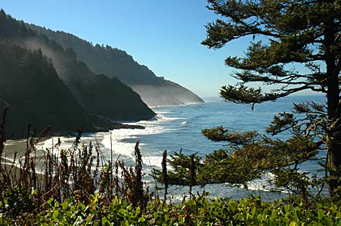 Ocean beach in Lane County.