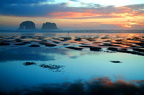 Pacific Ocean with Twin Rocks in background