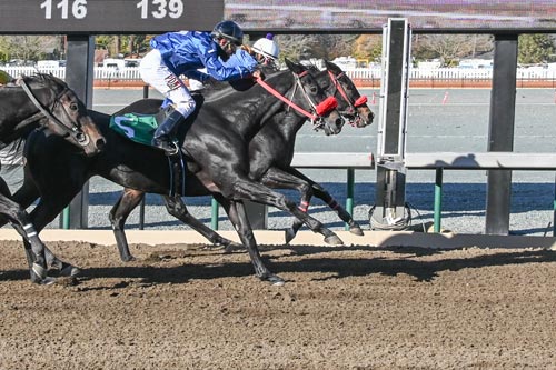 People riding horses while racing.