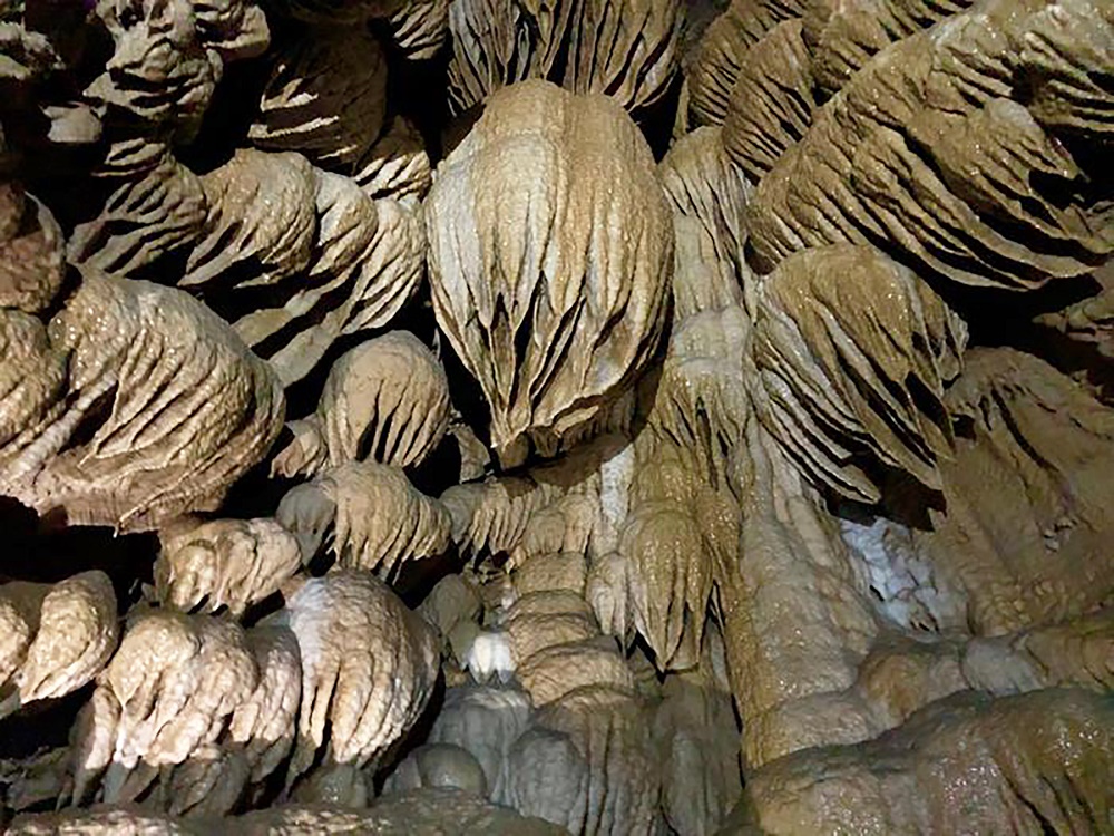 Drapery and flowstone decorate the length of Paradise Lost, hanging down over chert ledges. Chert is a hard, dense rock made of quartz. Shelfstone and miniature rimstone can also be seen.