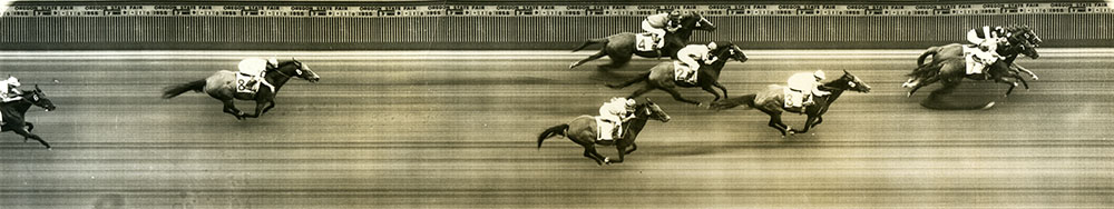 Horses streak across the race track