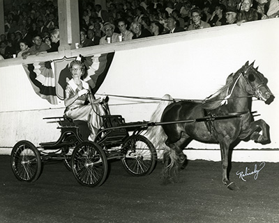 Jockeys sit on horses at the gate in a horse race