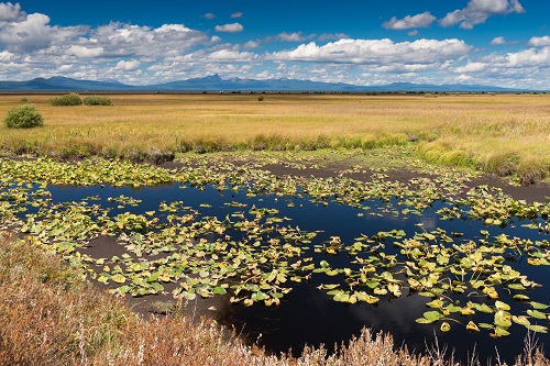 Klamath Marsh National Wildlife Refuge