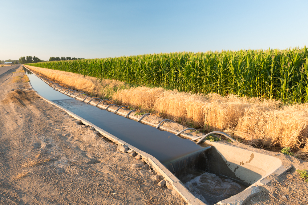 irrigation ditch