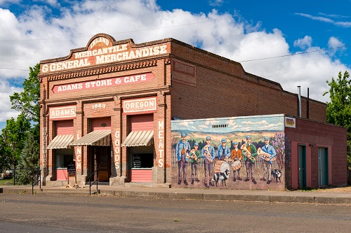 Building with 'Mercantile & General Merchandise' in print at top