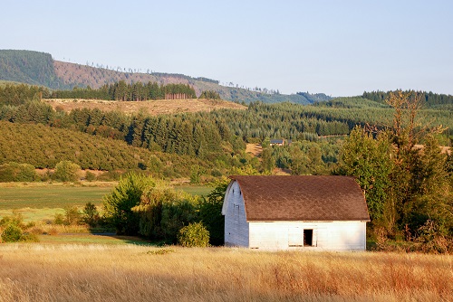 A barn sits below rolling hills covered in evergreen trees.