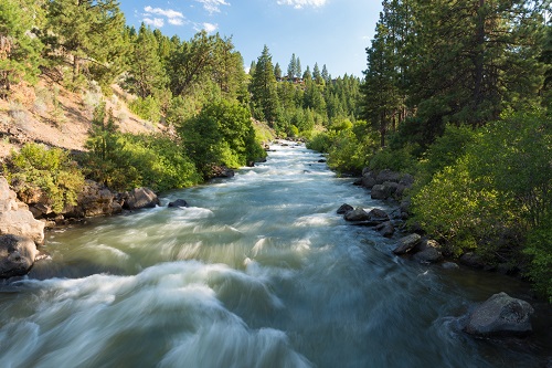 River with white water and many rocks along sides. A mix of evergreen and deciduous trees line the banks.