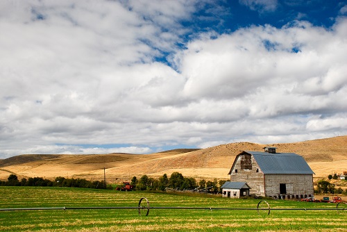 A barn sits at the base of rolling, yellow, low hills. A field in front is green with a lateral move irrigation rig across.