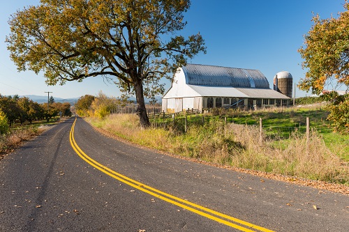 A barn with a curved roof. A silo stands at the back end. A 2 lane paved road runs in front with an oak tree on the side.