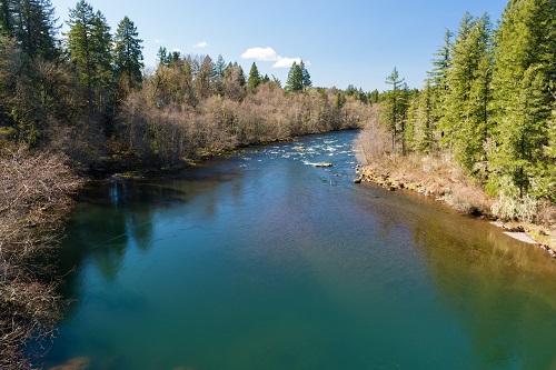 Calm section of the north Santiam River. A few white caps can be seen at the far end of the river.  Evergreen & deciduous trees.