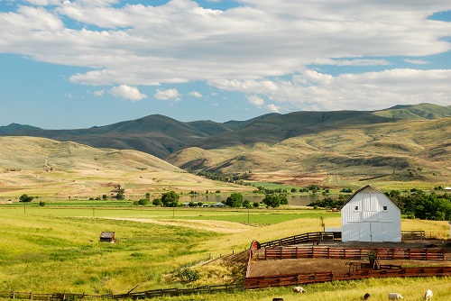 A barn sits in a field surrounded by a wood fence. Low hills roll gently up and away from the field. Sparse trees here & there.