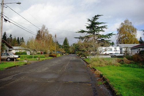 Simple neighborhood blacktop road with no lines for traffic. Residential houses on each side. Mix of evergreen & deciduos trees.