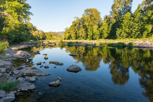 A calm river on a sunny day. deciduous trees line the rocky shore.