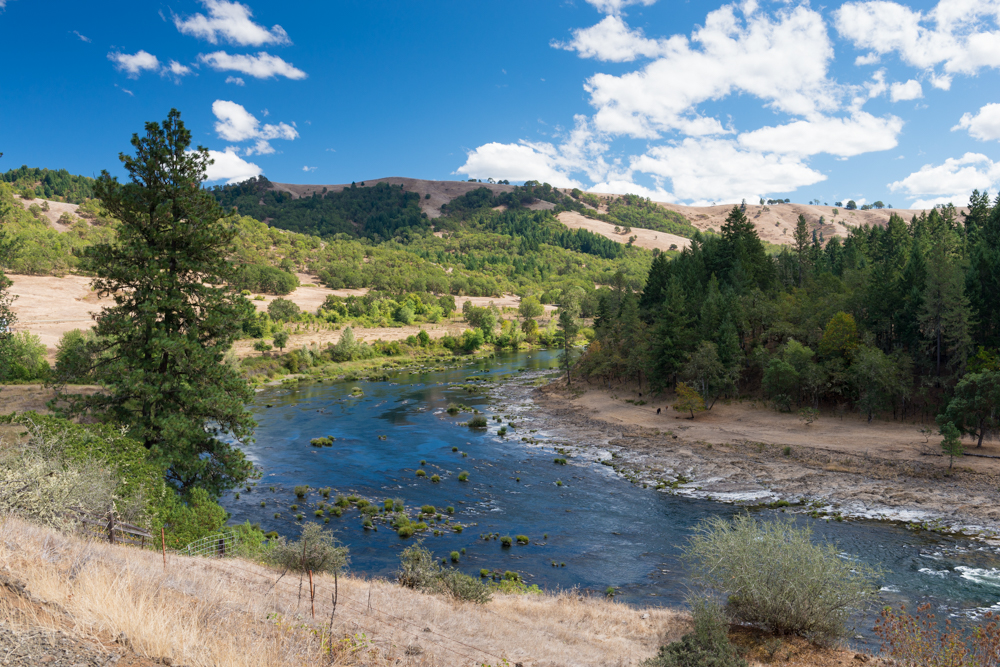 river with trees on riverbanks