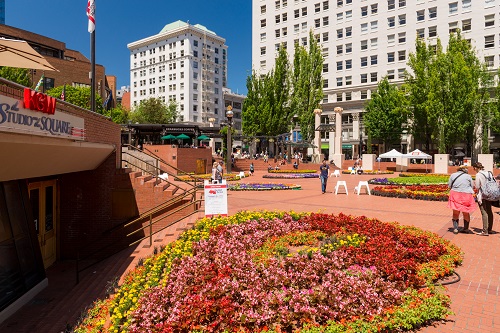 pink, yellow, and red flowers in front of white buildings