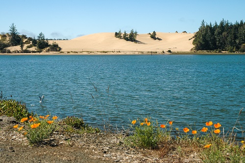 waters of Coos Bay