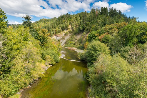 Coquille River and greenery