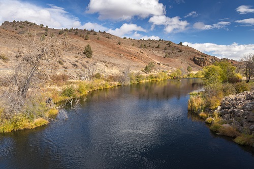 Warm Springs River